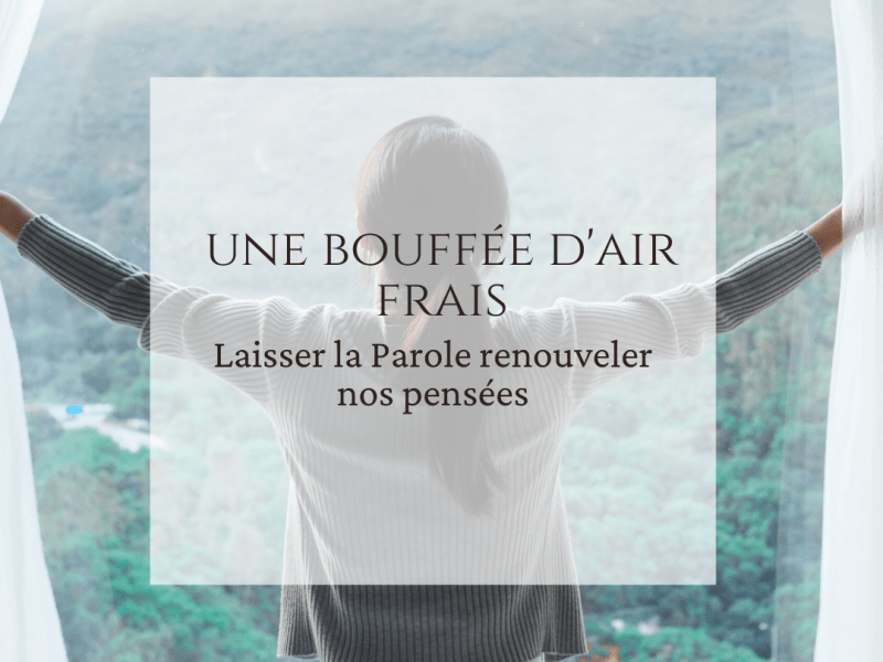 Une bouffée d&rsquo;air&nbsp;frais