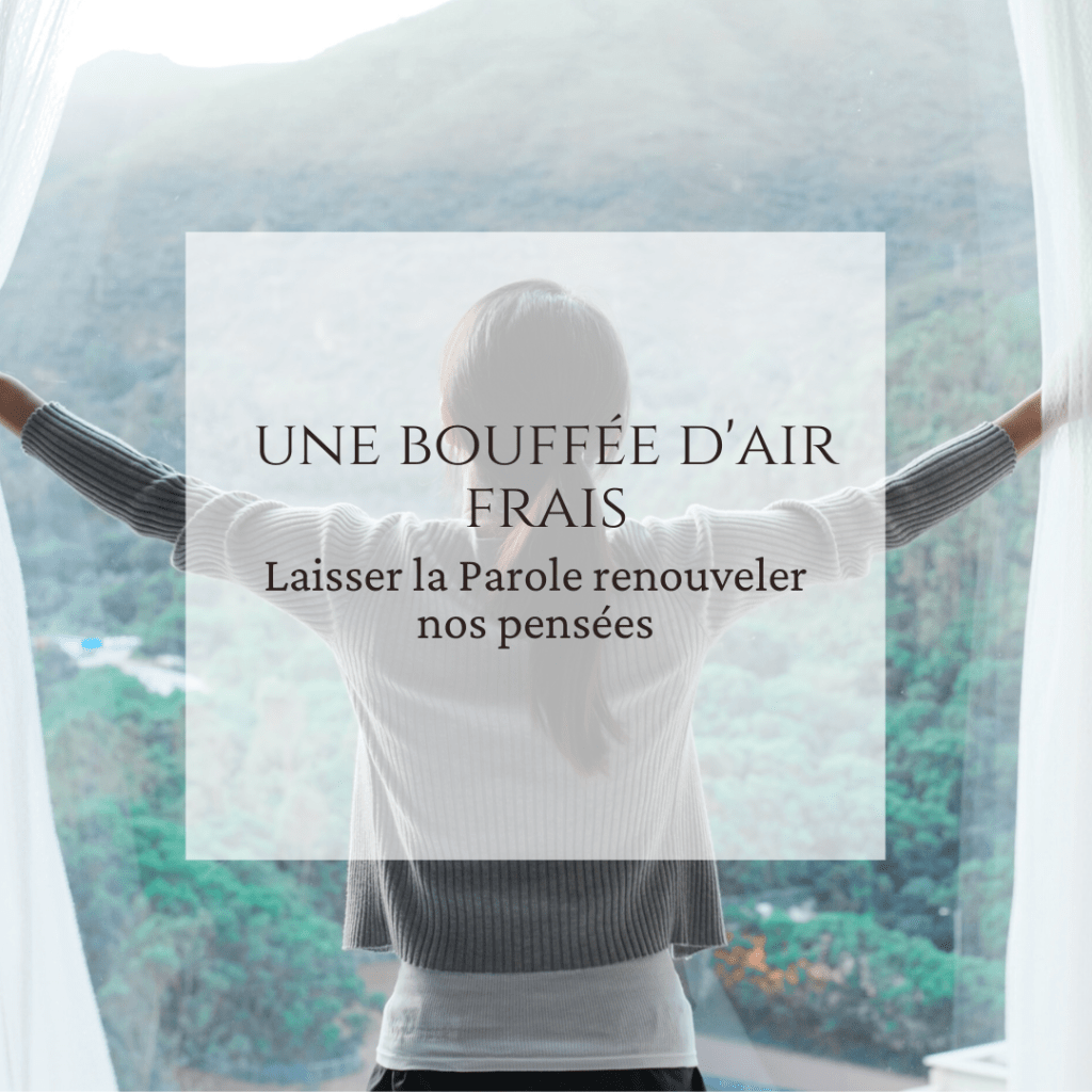 Une bouffée d&rsquo;air&nbsp;frais